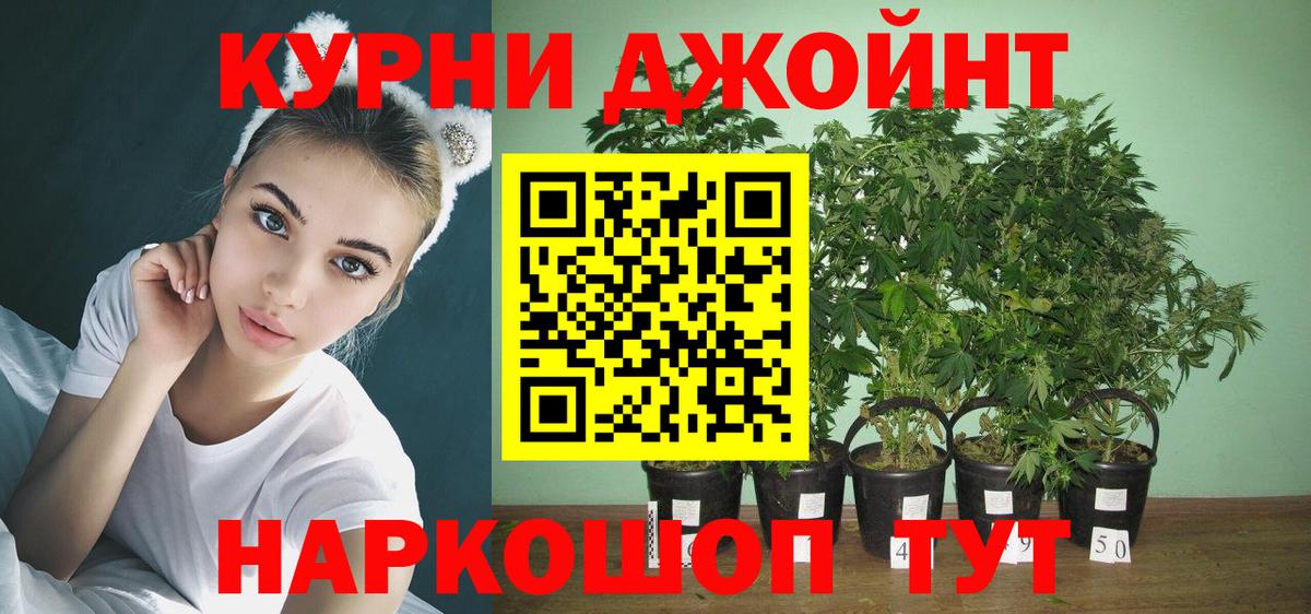 МАРИХУАНА White Widow  Каннабис THC 21%  Бошки Шишки планчик  Находка  Вход с VPN 